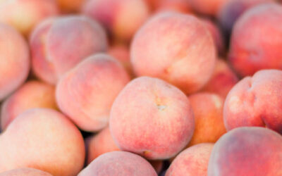 投稿その3（一般向け）